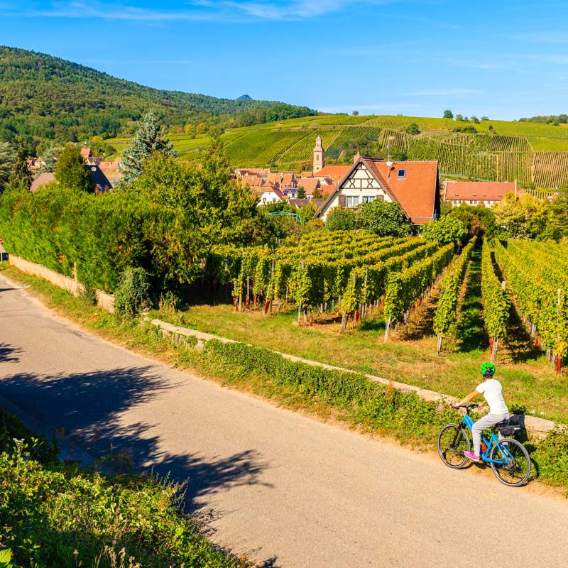 Route des Vins d'Alsace