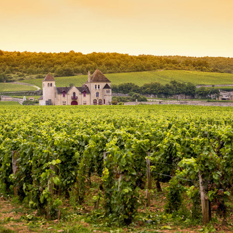 Route des Grands Crus de Bourgogne