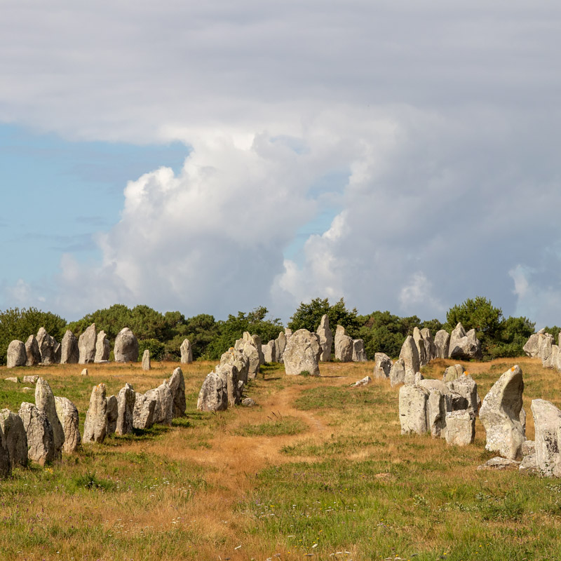 Carnac et ses menhirs