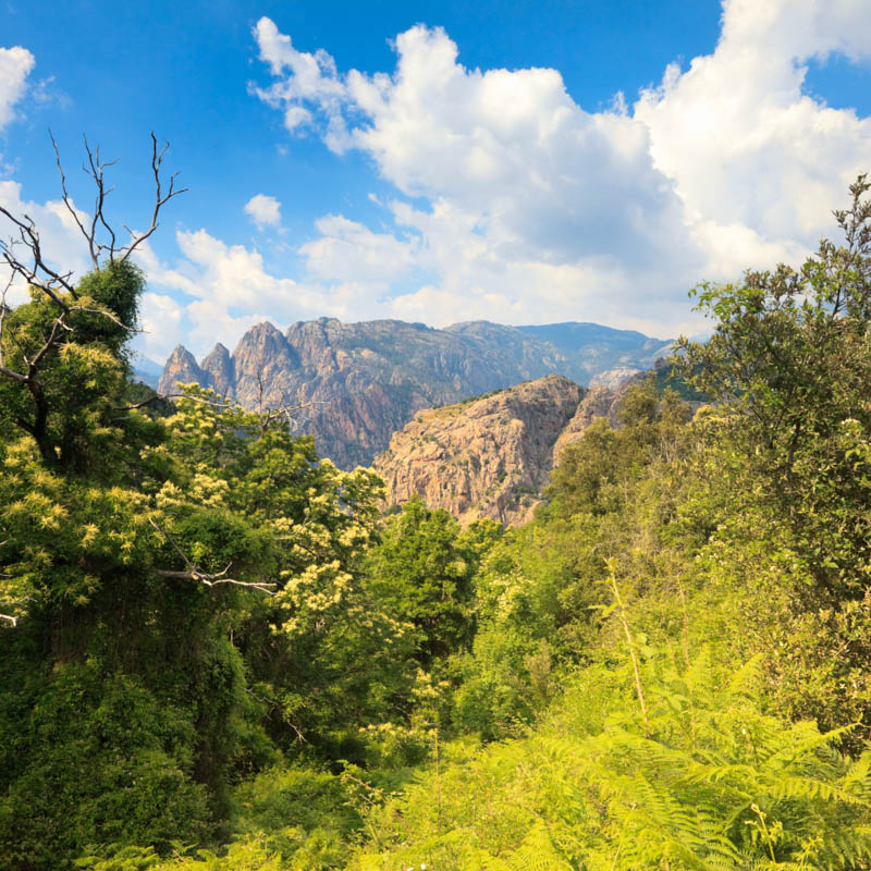 GR20 — Corse