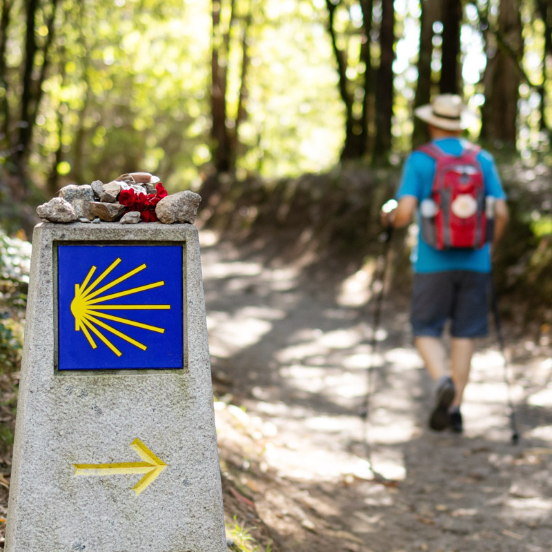 Chemin de Saint-Jacques-de-Compostelle