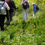 Les plus belles randonnées de France