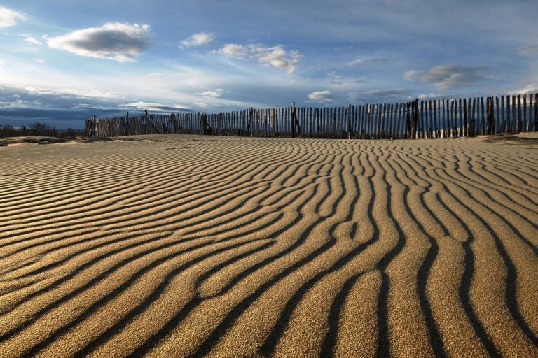 Découvrez la Camargue