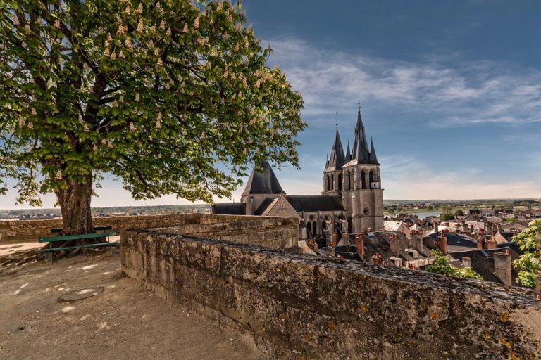 Visiter Blois et ses alentours