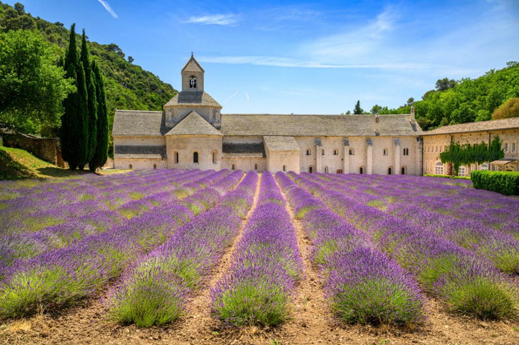 Abbaye de Senanque